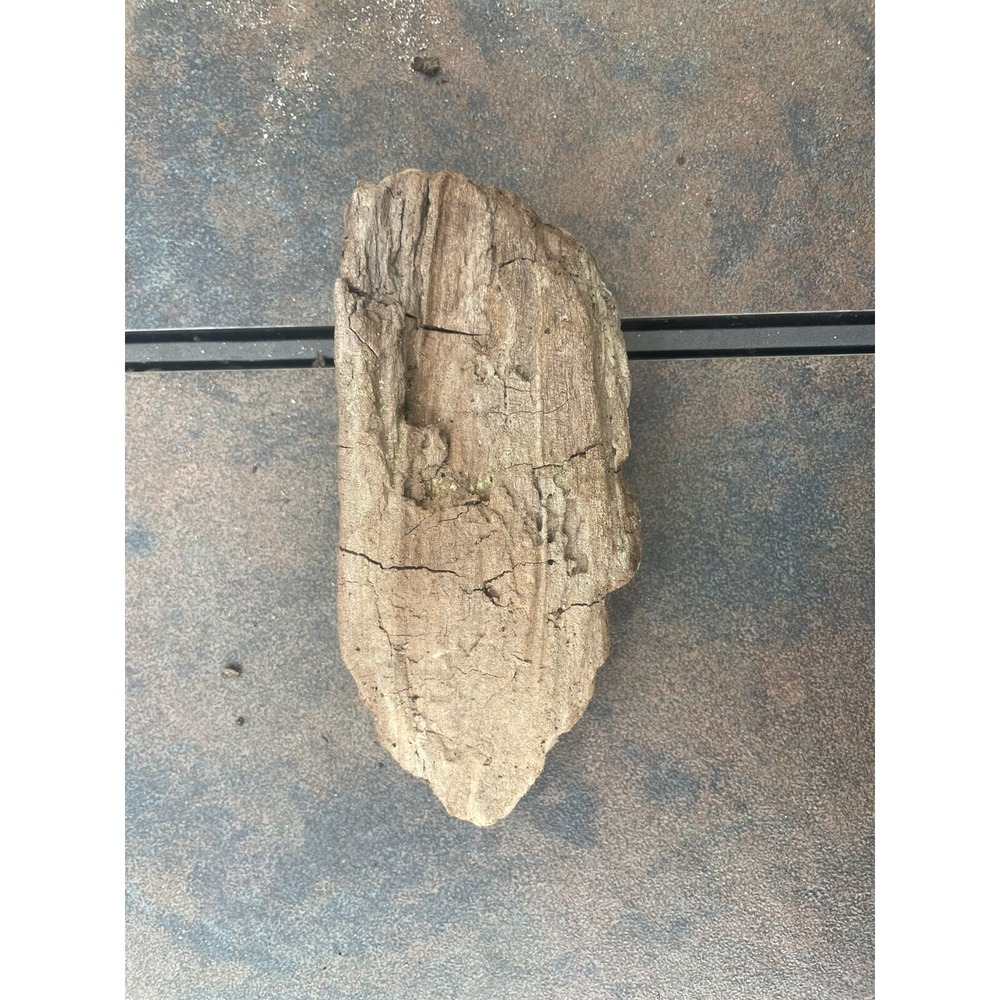 Natural Driftwood for Plants Terrarium Taxidermy Art Projects